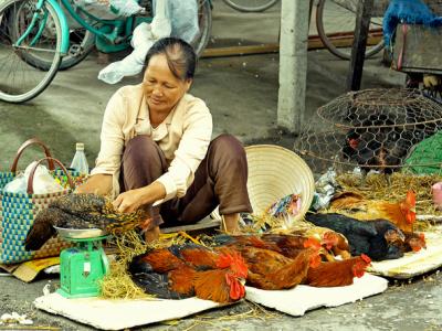 Woman selling chickens
