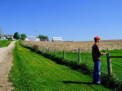 Farmer looking over his fields