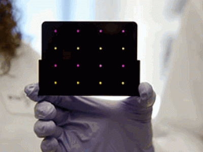 Zika paper test
