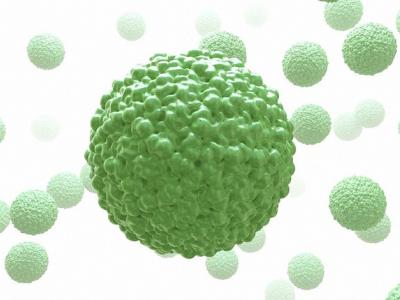 Zika virus