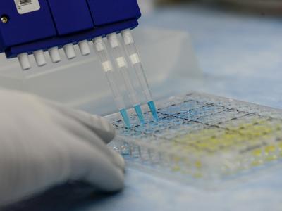 Zika testing
