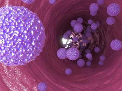 Zika virus particles