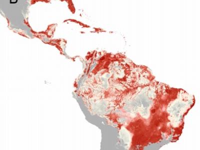 Zika Americas map