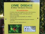 lyme disease