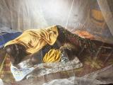 Mother and child under mosquito net