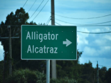 Alligator Alcatraz