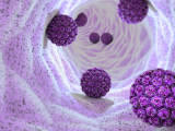 HPV virus illustration