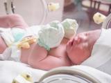 Baby in hospital