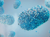 Gonorrhea pathogen