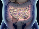 Microbiome