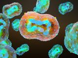 Mpox virus illustration