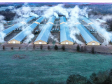Poultry farm