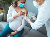 pregnant woman vax