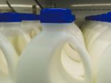 retail milk