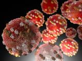 Measles virus illustration