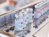 covid vaccines