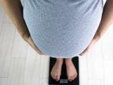pregnancy