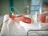 Preterm infant in NICU