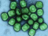 mpox green blue