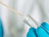 Cotton swab and test tube