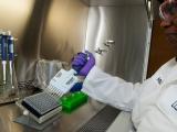 E coli testing