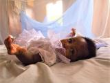 Baby under mosquito bed net