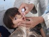 Oral polio vaccine