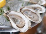 Raw oysters