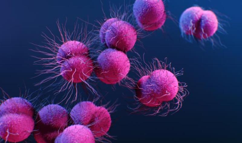 Drug-resistant gonorrhea illustration