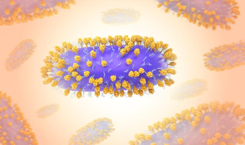 Studies describe high health toll, costs of RSV infections