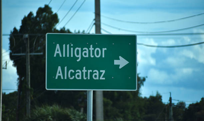 Alligator Alcatraz