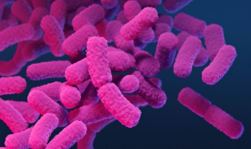 Carbapenem-resistant Enterobacterales