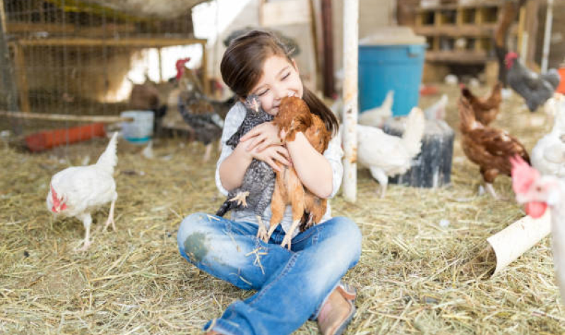 Many US parents feel uninformed about avian flu risks, survey finds