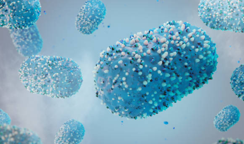 Gonorrhea pathogen