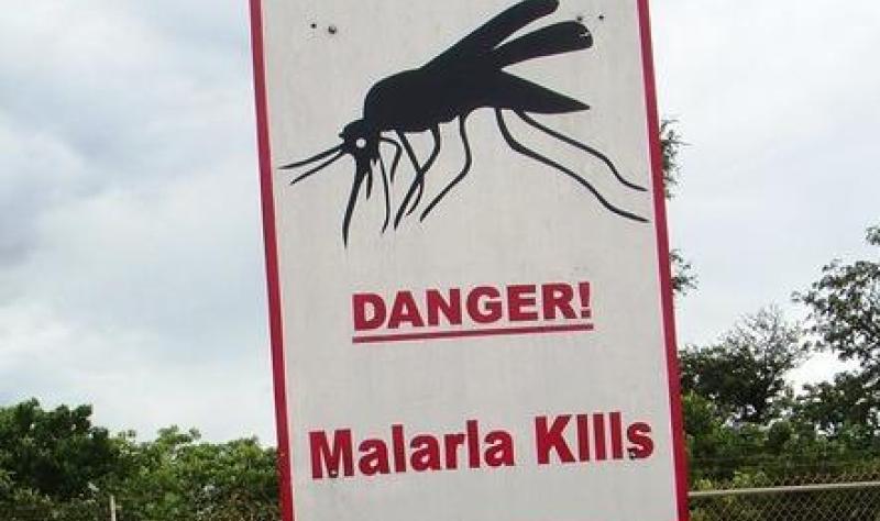 Single-dose malaria treatment as effective as multi-dose regimen, trial shows