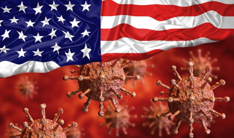 flag with virus 
