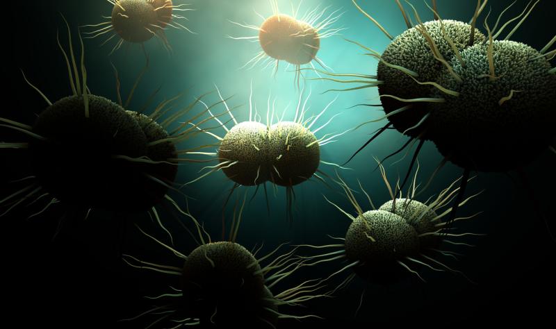 Gonorrhea bacteria illustration