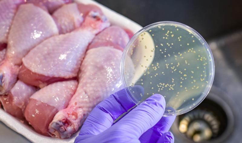 Raw chicken with bacteria