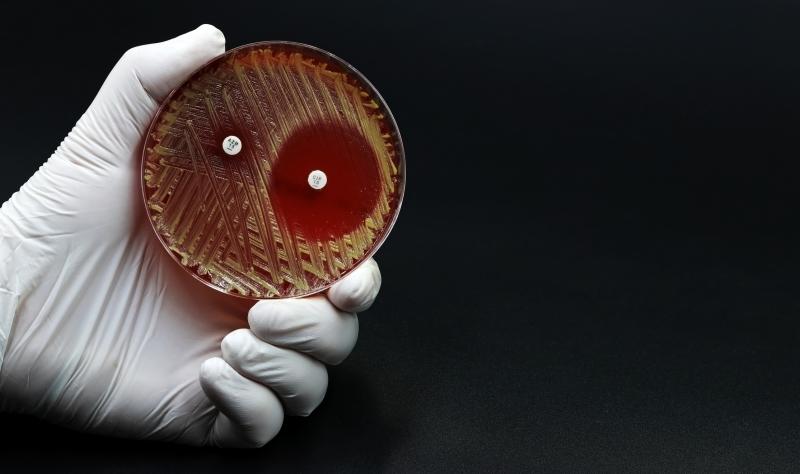 Regional decolonization effort linked to fewer infections, deaths from multidrug-resistant pathogens Regional decolonization effort linked to fewer infections, deaths from multidrug-resistant pathogens