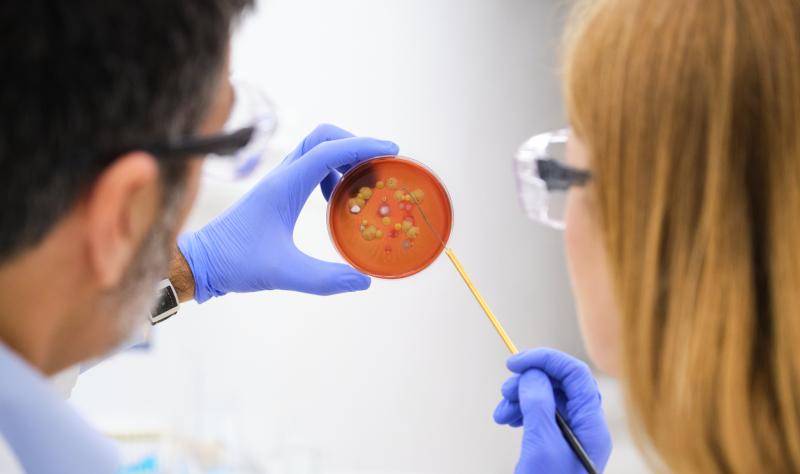 WHO report highlights burden, impact of healthcare-associated infections WHO report highlights burden, impact of healthcare-associated infections