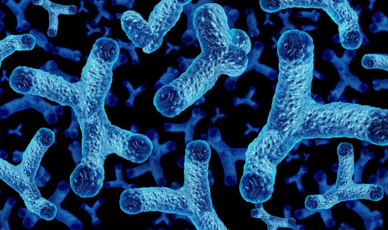 Bifidobacteria illustration