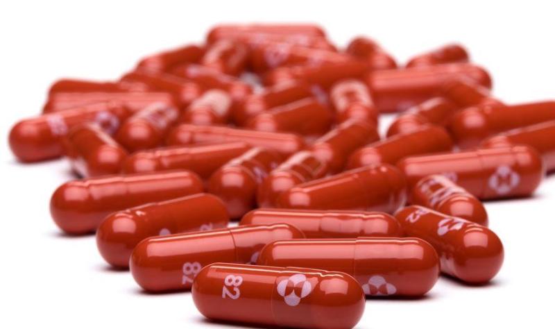 molnupiravir pile