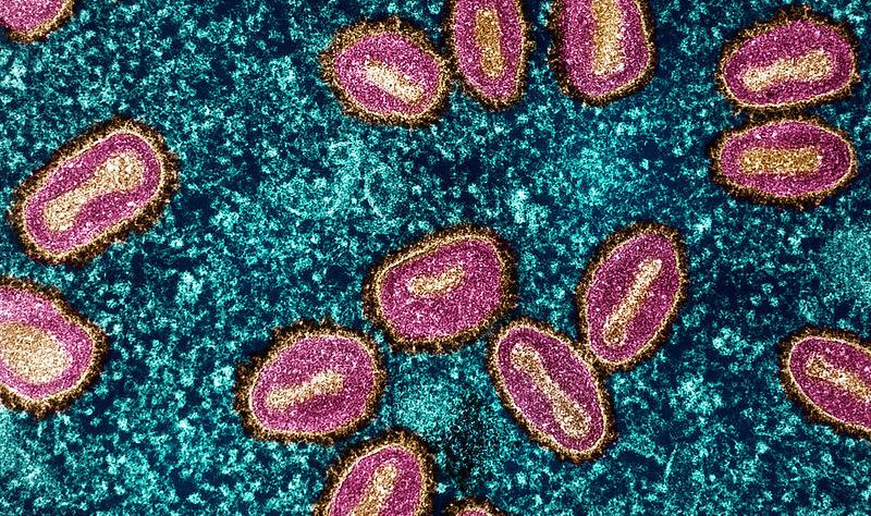 mpox blue purple