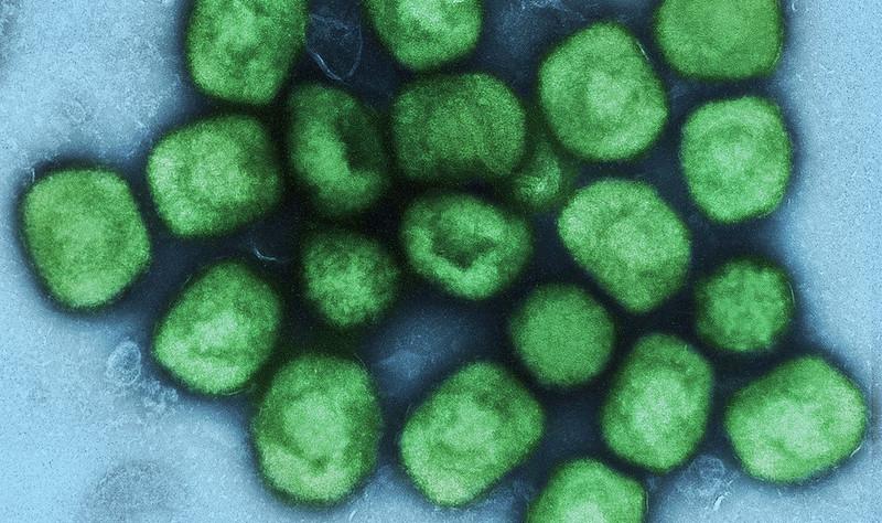 mpox green blue