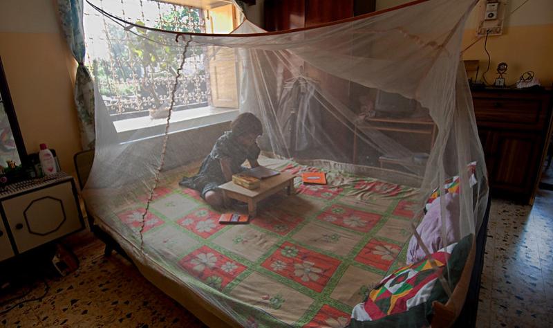 reading under malaria net