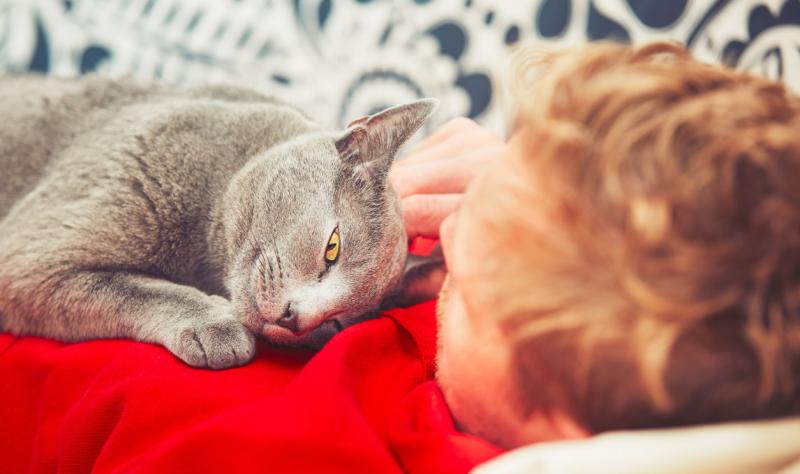 Dog, cat owners with COVID-19 often pass it to pets | CIDRAP