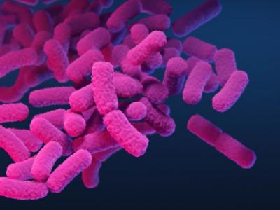 Carbapenem-resistant Enterobacterales