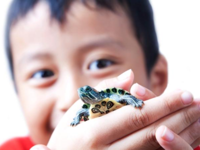 Boy holding pet turtle
