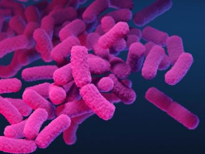 Carbapenem-resistant Enterobacterales