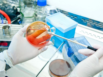 Hands with petri dish in lab